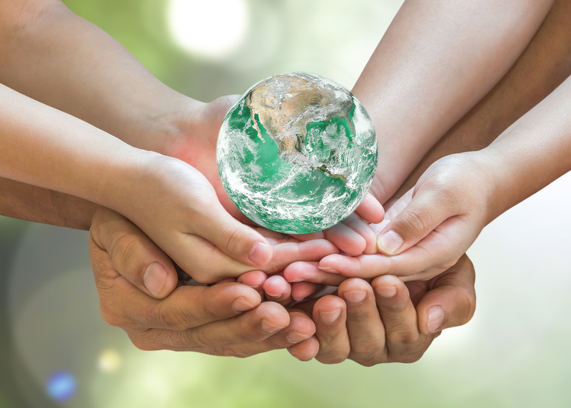 Transforming Packaging and Cardboard Waste into Useful Resources